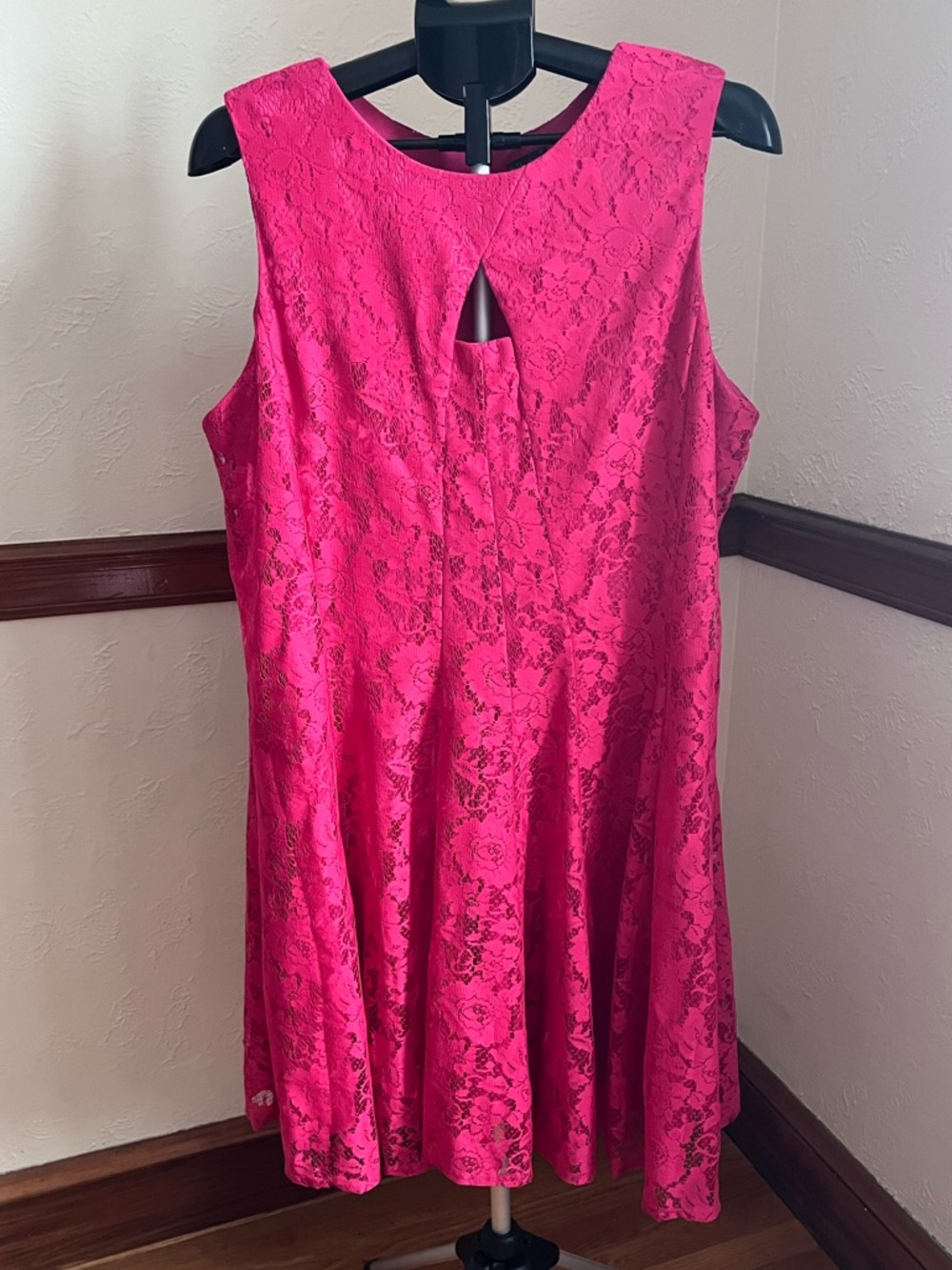 Gabby Skye Pink Lace Dress 16W EUC